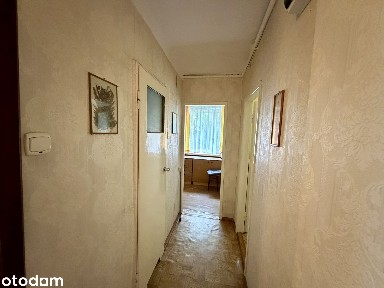 Centrum | 3 pokoje | 1. piętro | Do generalnego remontu