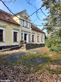 dwór park dworek jeziorko wyspa Popowo Kościelne gm. Mieścisko 5ha