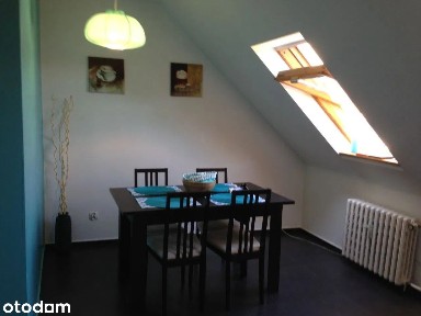 Bezposrednio do wynajecia jasne ciche 56m2 w centrum pestalozziego