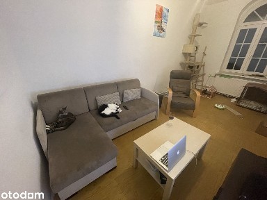 Przestronne mieszkanie w pałacu do remontu
