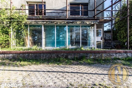 Lokal - witryna od ulicy | al. Jana Pawła II |66m2