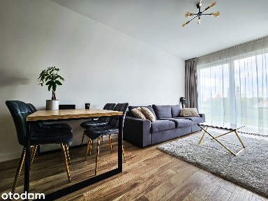 REAL ESTATE 24 Chwaliszewo apartament z widokiem na Wartę Poznań