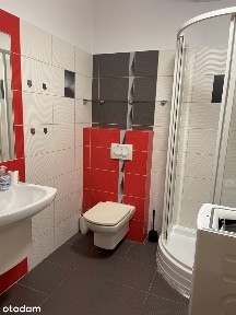 Bezczynszowe w ścisłym centrum Rybnika