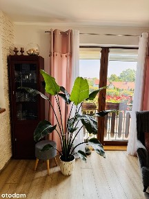 Dom 217m² | 2 lokale użytkowe | Kowal - blisko A1