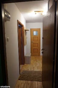 3 pokoje, po remoncie, podwyższony parter, LSM