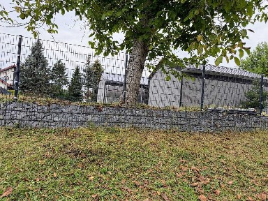 Wyjątkowy budynek 135 m² z dużą działką (1322 m²) przy ul. Podwale 12