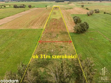 Doinwestowany dom do remontu I prawie 2 hektary działki I OKAZJA