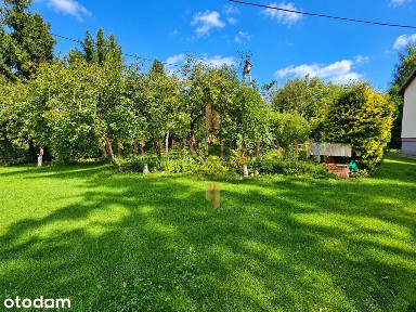 2800m2 sad i ogród, dom + budynki | Kowalewo