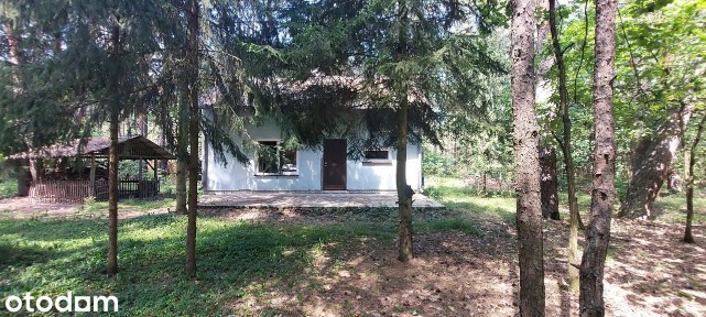 Celejów, Wilga, garwoliński, mazowieckie