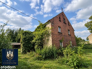 Dom 132m2 z polem 1,2ha w jednym do remontu Duża Działka 1,2ha Sad