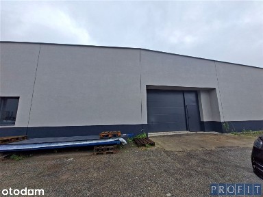 Hala 600m2 poziom /rampa 0,h-4,8m do 6m
