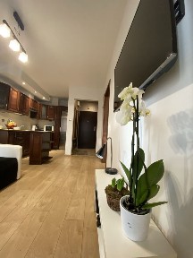 Przytulne mieszkanie 33 m² do wynajęcia - Kraków, ul. Śliczna