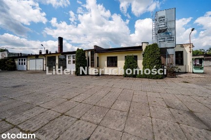 Pabianice, pabianicki, łódzkie