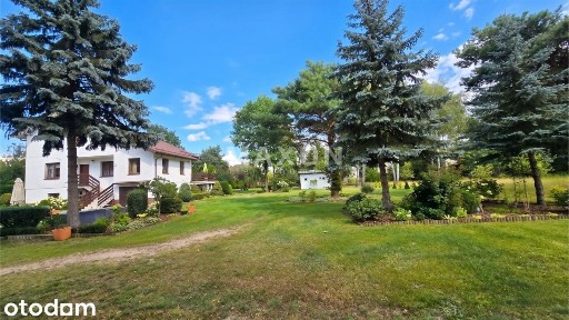 Międzylesie ✨ działka - 2468mkw✨solidny dom,✨