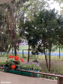 Mokotów 2pok., balkon, zieleń