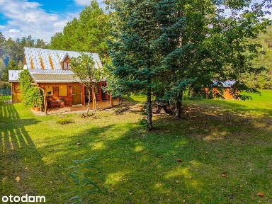 * Dom w środku lasu - 9512 m2 - Walne, Wigry *