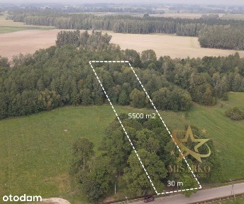 *Siedlisko z duszą Łosiniec gm. Korycin*
