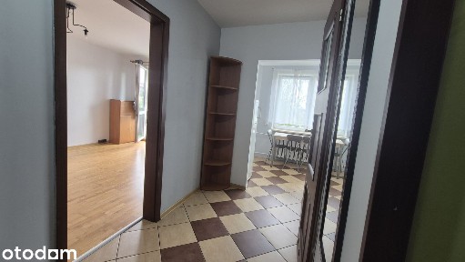 Słoneczne i ciche, 1 pokój, 11 Listopada, brak kaucji