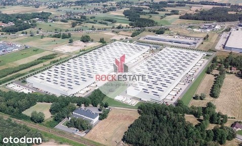 Nowy magazyn 5300 m2 w Emilianowie - 0% prowizji
