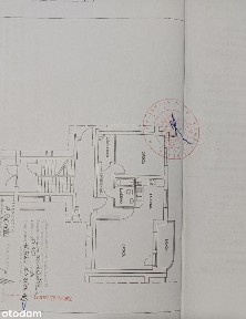 Sprzedam mieszkanie 2 pokojowe piwnica własnościowa, garderoba, balkon