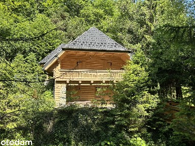 Forest House - komfort, cisza, wygoda i bliskość natury