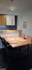 Do wynajęcia mieszkanie apartament 120m2