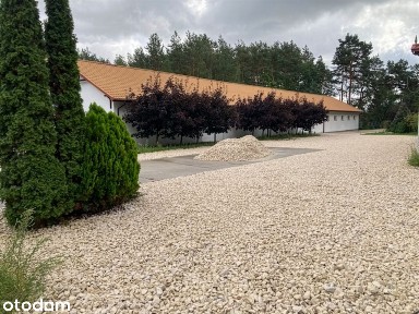 Biura, hale pr, magazyny - pow. 120,220,350,550,1000,1250,1500,1750 m2
