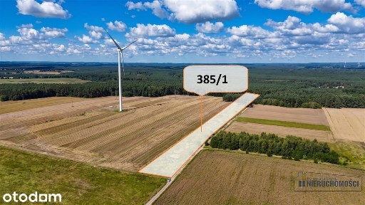 Mieszkanie z ogrodem i lasem