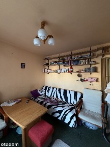 Mieszkanie dwupokojowe, 31,6 mkw, do remontu, ul. Wierzbowa