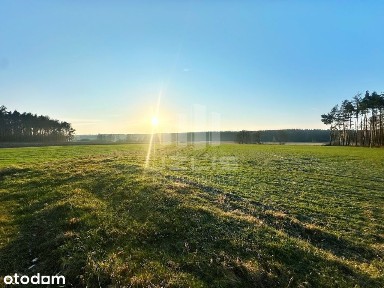 Zajączek, Skórcz, starogardzki, pomorskie