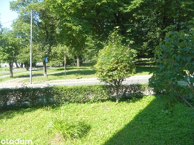 Mieszkanie w Katowicach Bogucicach przy parku Boguckim