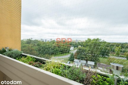 2 pokoje | 49,5 m² | Loggia | Gądów | Potencjał do własnej aranżacji