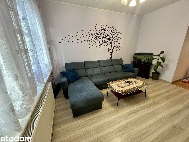 ||3 Pokoje Dąbie 64 mkw Ogródek Garaż Piwnica||HIT!||