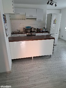 Przytulne mieszkanie Junikowo