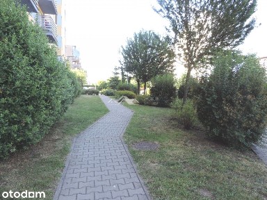 Strońska ok, Gaj, Krzyki, Wrocław, dolnośląskie