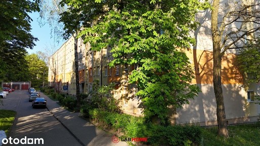 Mieszkanie w sąsiedztwie Parku Śląskiego