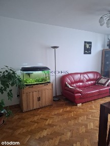 Przestronne 3 pokoje, piwnica