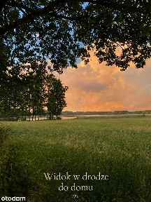 Dom na Kaszubach, nad rzeką, przy lesie, nad jeziorem, 200m2, strzecha