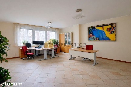 Skwer kard. Stefana Wyszyńskiego, Nowolipki, Wola, Warszawa, mazowieckie