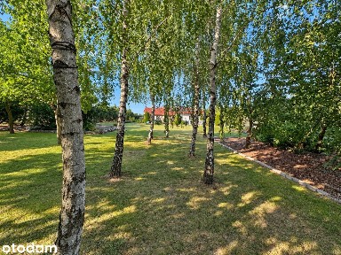 Dom parterowy 116,8 m² | działka 4000 m² | garaż 45 m² | Skrzypkowo