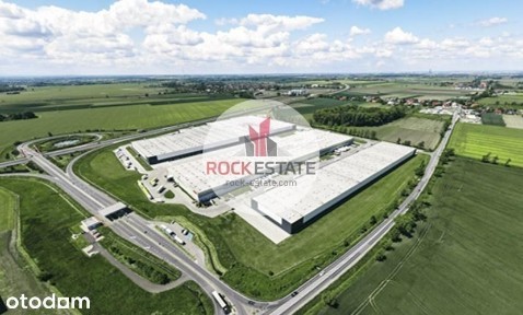 Magazyn 7428 m2 Wojkowice - 0% prowizji