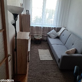 Do wynajęcia 2 pokojowe mieszkanie z piwnicą