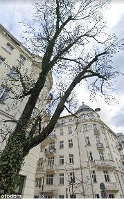Okazja bezp., 2 POK. widok na park luksusowa kamienica
