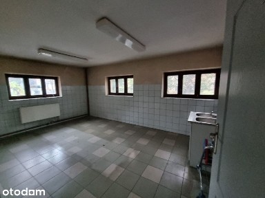 Biura, lokale o pow. od 15 do 174m2 koło galerii, hala 86m2 oraz 240m2