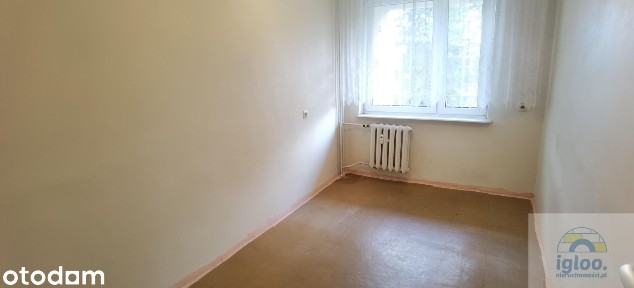 Nowowiejska, Sady, Kielce, świętokrzyskie