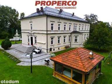 Pałac z XIX wieku 850m2, park i sad 25 ha, Kamień