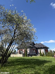 Mikołów, mikołowski, śląskie