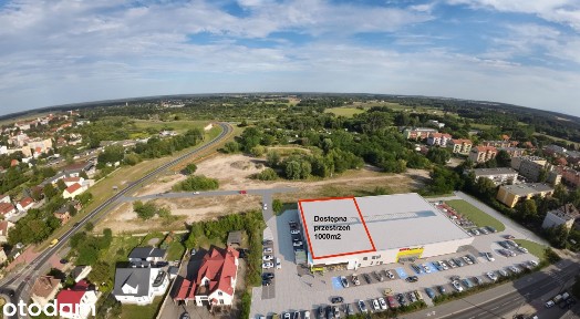 Wołów, wołowski, dolnośląskie
