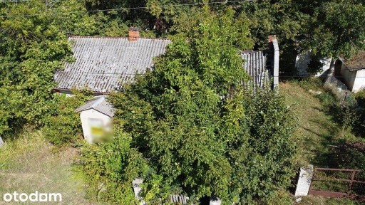 Siedlisko 2,5 ha Andrzejów gm. Przyłęk mazowieckie