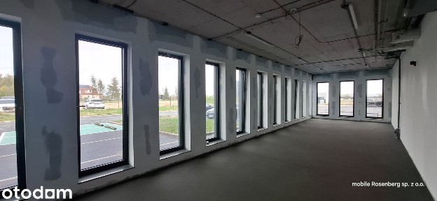 Tarnobrzeg, podkarpackie